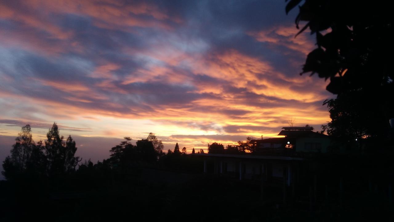 Bromo Tanjung Apartment Tosari Exterior foto